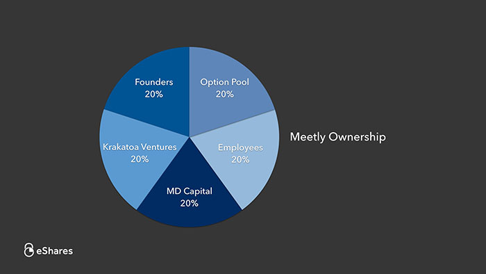 The Ownership Graph: Introduction 1