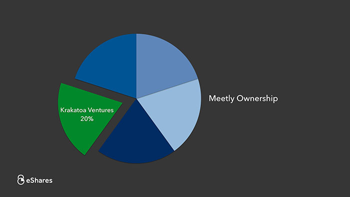 The Ownership Graph: Introduction 2