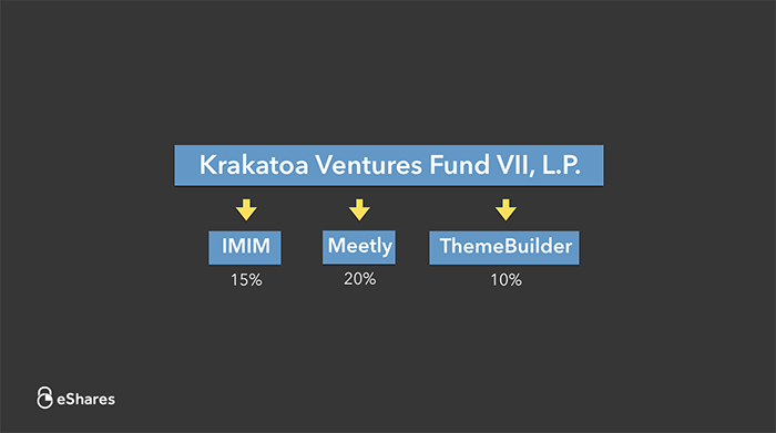 The Ownership Graph: Introduction 4